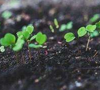 水污染防治攻堅進入落地期 五大戰(zhàn)役?？小坝补穷^”