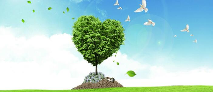 資源環(huán)境審計(jì)加碼助力污染防治