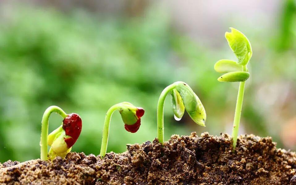 市場空間高達(dá)萬億元 土壤修復(fù)前景廣闊